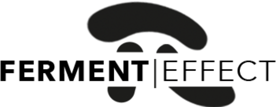 ferment-effect-logo